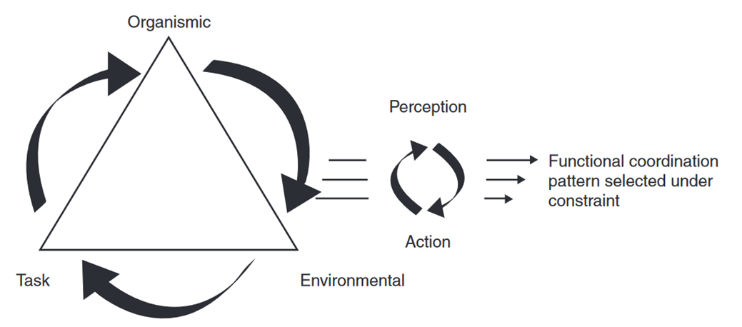 Diagram showing individual, task, and environmental constraints